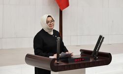 Ayşen Gürcan TBMM'de bütçe görüşmelerinde konuştu.