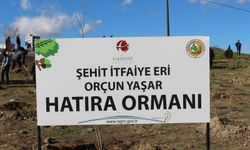 Şehit İtfaiye Eri Orçun Yaşar'a Vefa Ormanı.