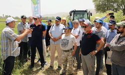 Eskişehir'de Tarla Günü'nde 12 buğday çeşidi tanıtıldı