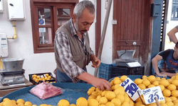 Eskişehir'de limonun kilosu pazarda 70 liraya dayandı