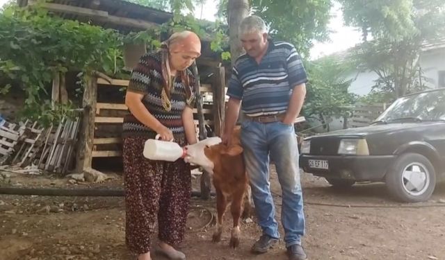 (ÖZEL) Egemen’inin adeta gözleri oldular