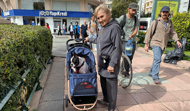 Eskişehir'de köpeğini adeta bir bebek gibi dolaştırıyor