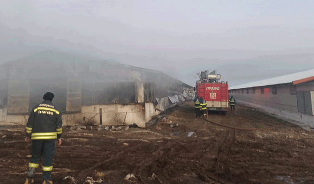 Eskişehir'de tavuk çiftliğinde yangın çıktı