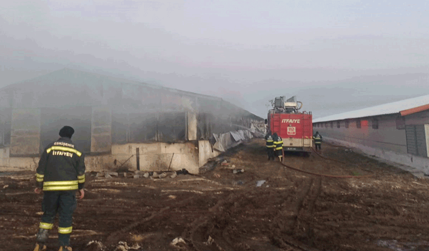 Eskişehir'de tavuk çiftliğinde yangın çıktı